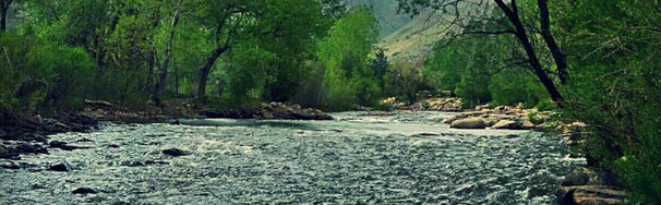 banner 2